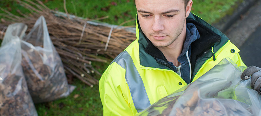 Fox Élagage : broyage des déchets à Saint-Avertin & Saint-Cyr en Indre-et-Loire (37)