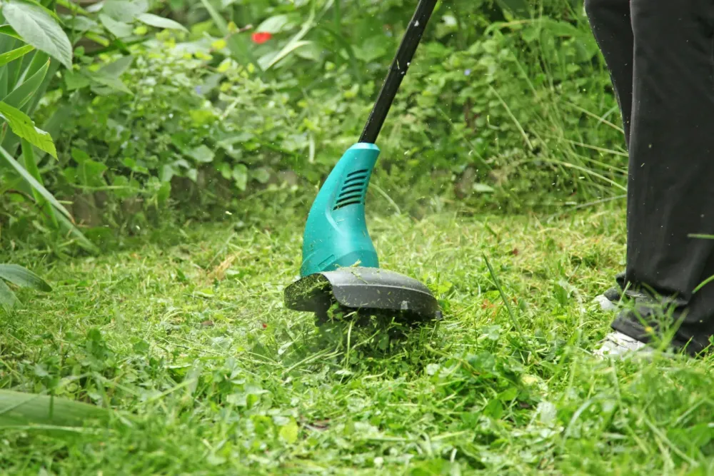 Débroussaillage à Saint-Avertin