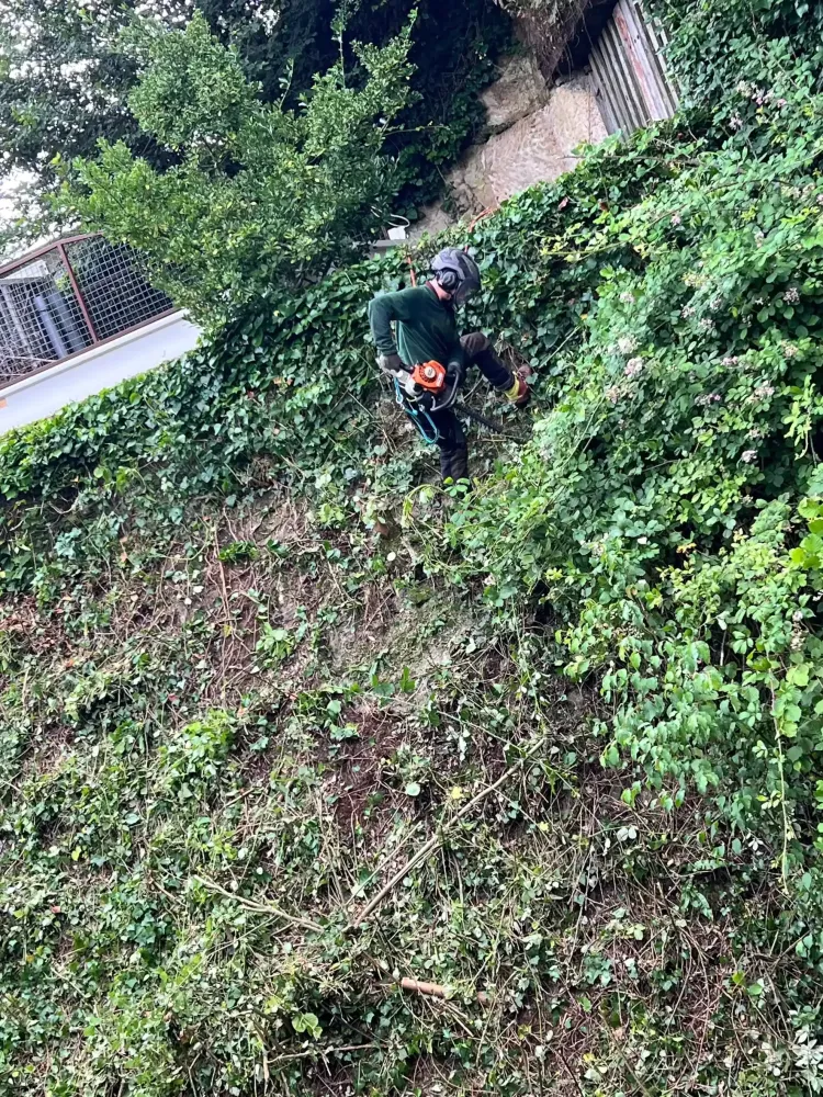 Adobe Express - file (2)-min