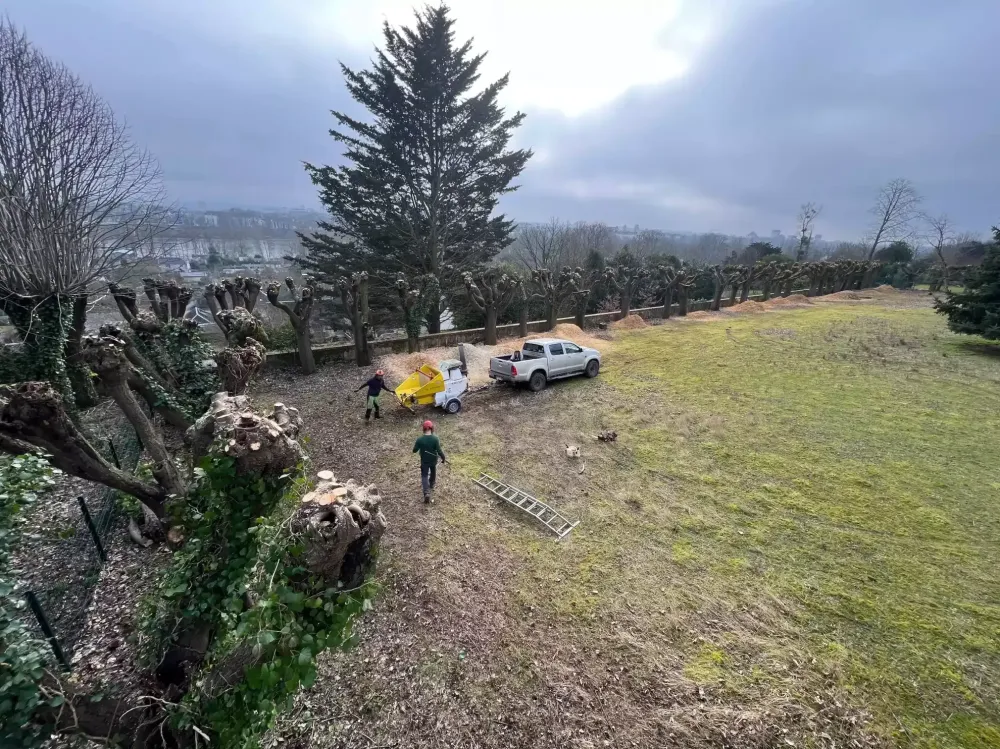 Adobe Express - file-min