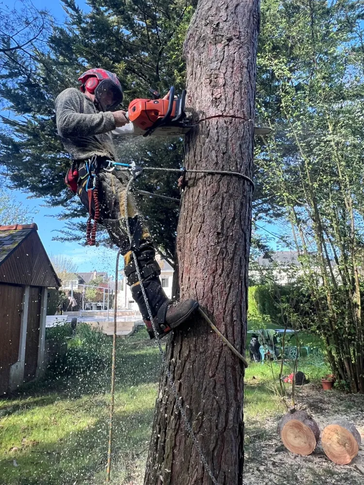 Adobe Express - file (2)