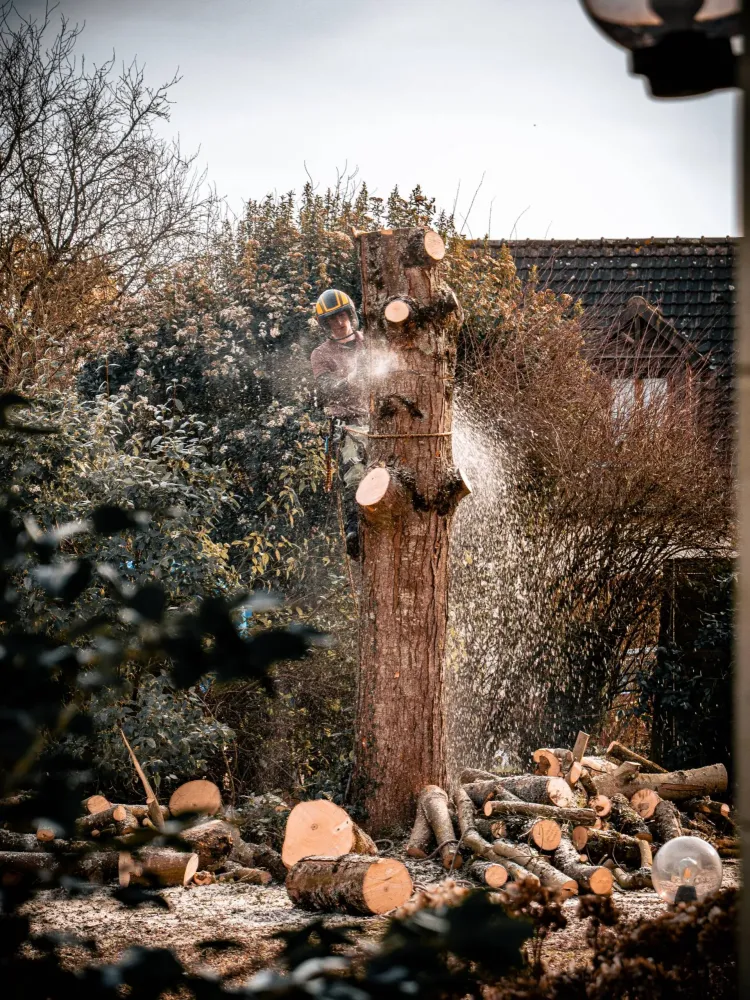 Adobe Express - file (8)-min