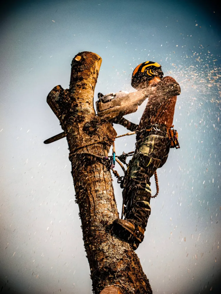 Adobe Express - file (14)-min