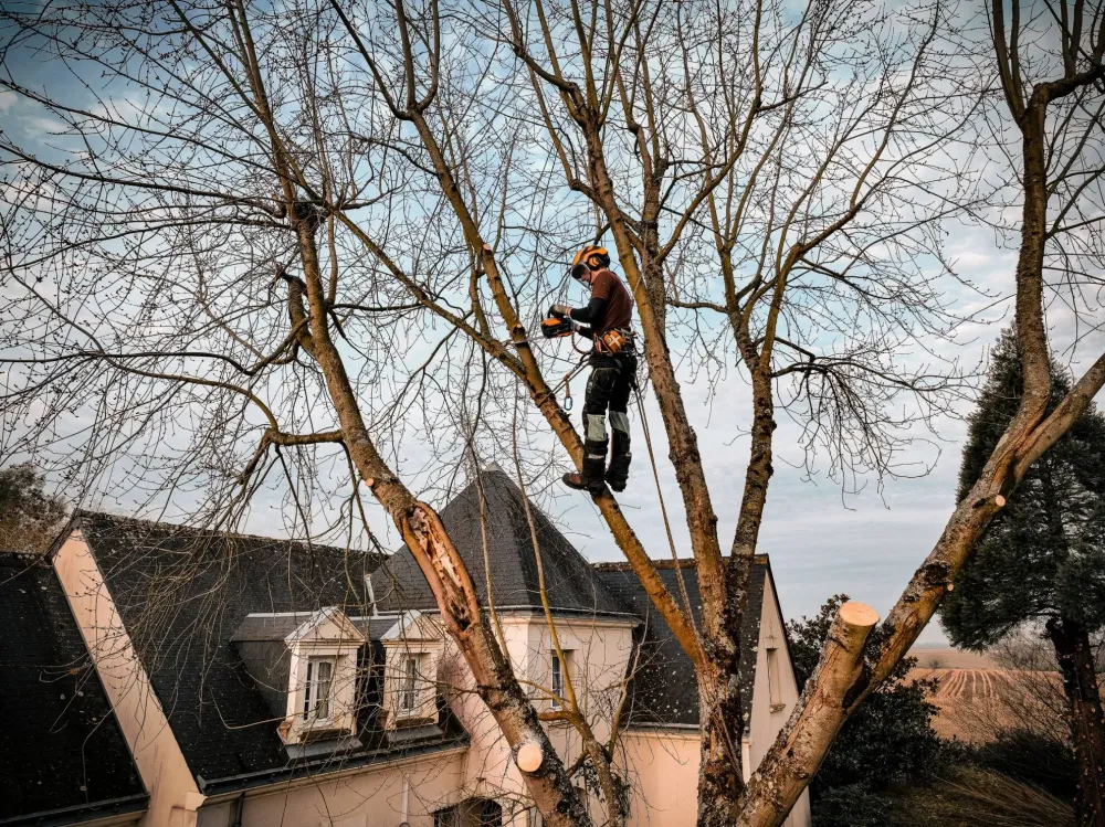 Adobe Express - file (7)-min