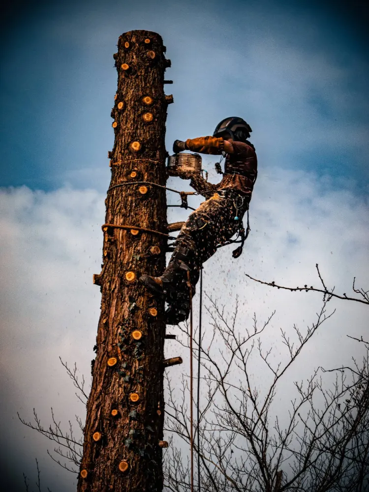 Adobe Express - file (11)-min