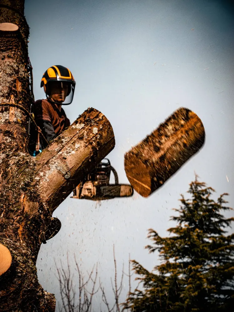 Adobe Express - file (9)-min