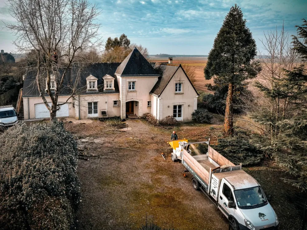 Adobe Express - file (13)-min