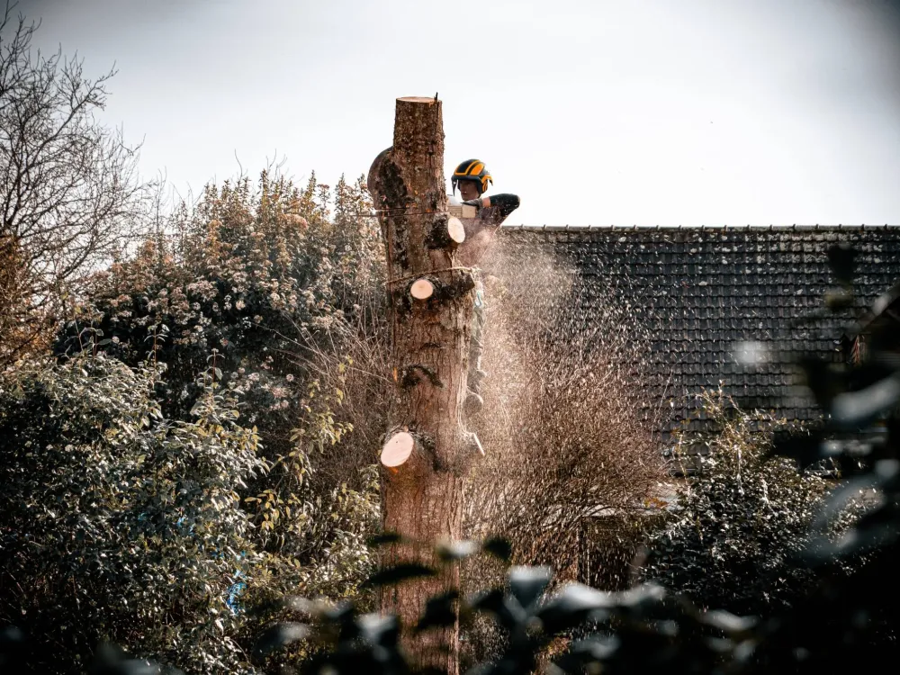 Adobe Express - file (6)-min