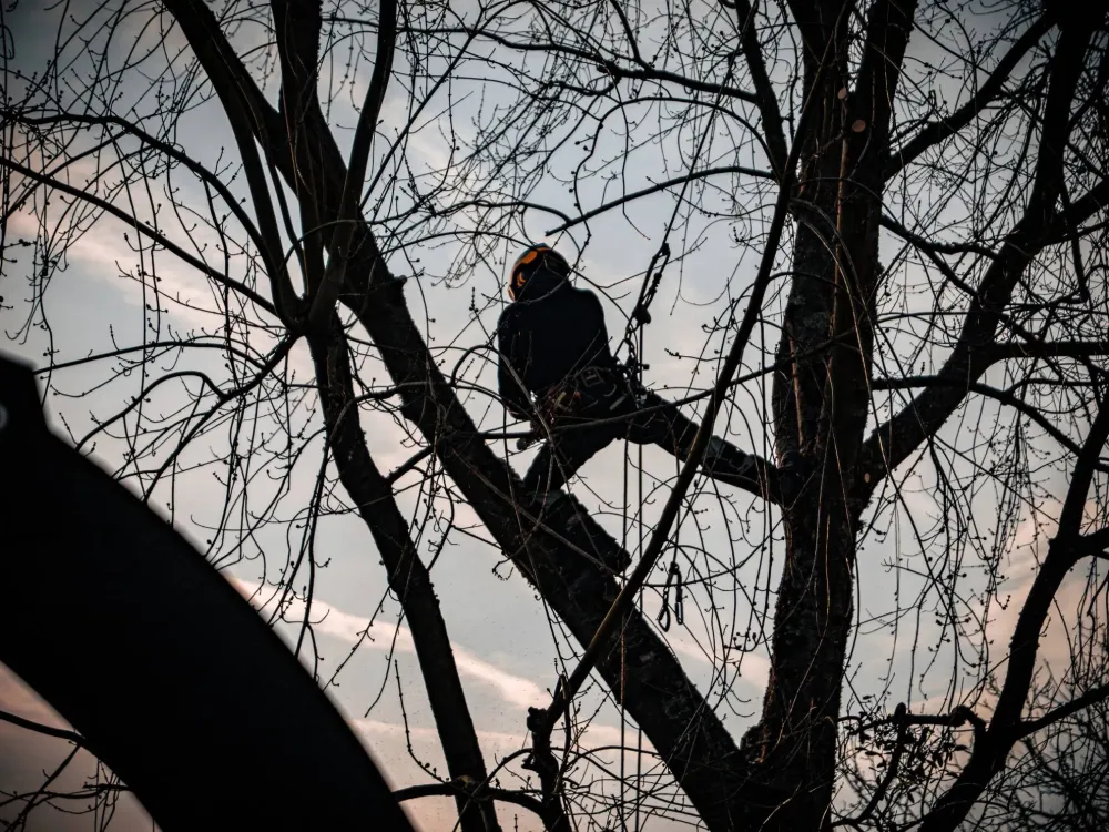 Adobe Express - file (3)-min