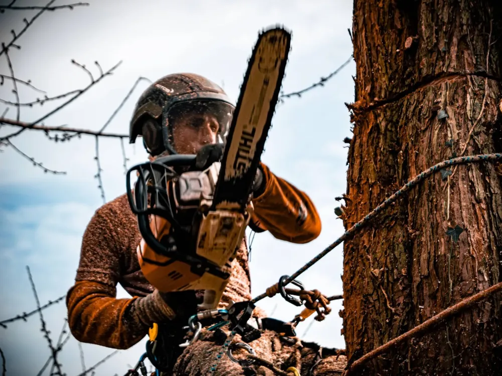 Adobe Express - file (4)-min