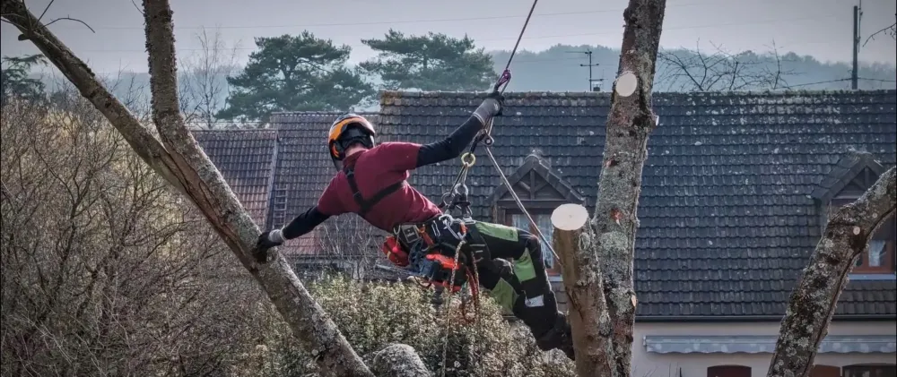 Savoir-faire, expérience et qualité